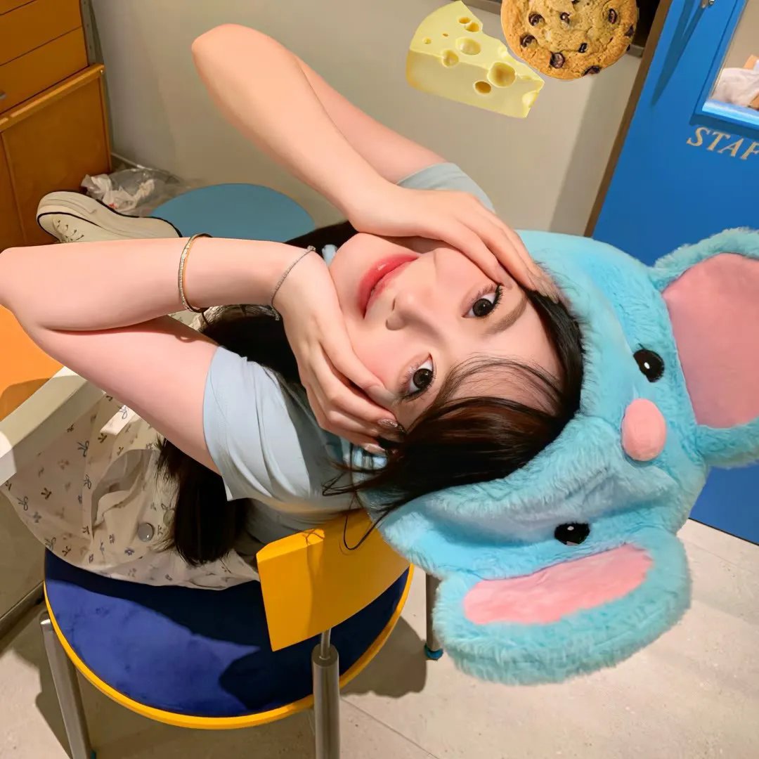 蔷薇处处香